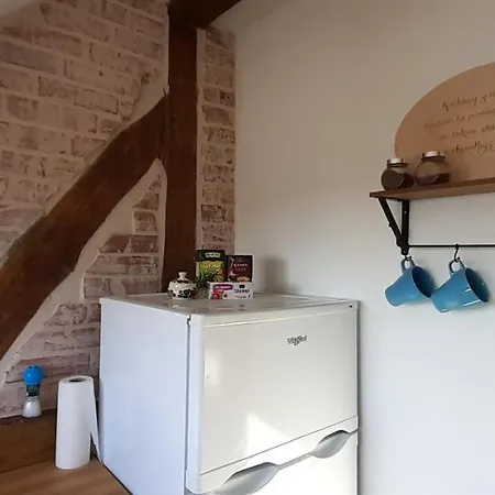 Urocze Studio Z Klimatem W Centrum Legnicy Legnica