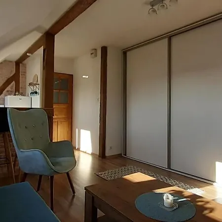 Urocze Studio Z Klimatem W Centrum Legnicy Appartamento *