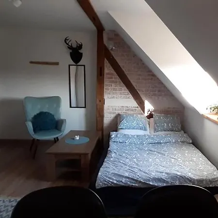 Urocze Studio Z Klimatem W Centrum Legnicy Apartment *